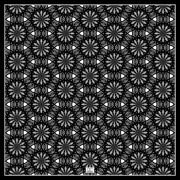 Aster Mandala Silk Scarf in Black and White – Alesia C. Mandala Collection