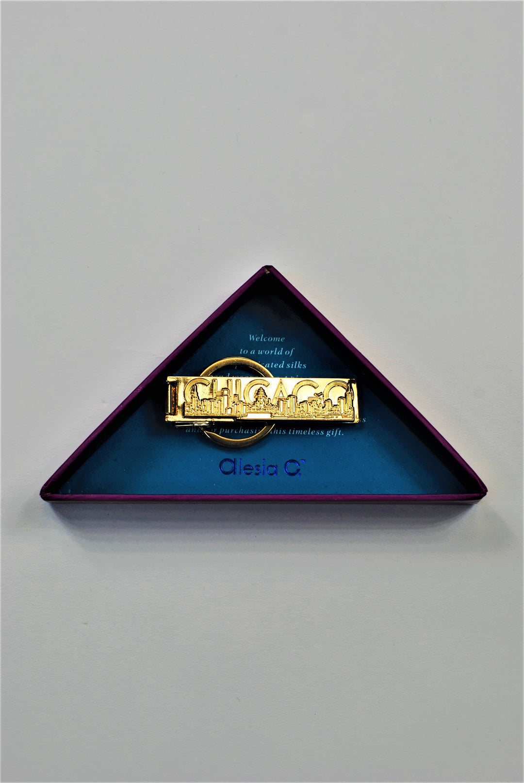 CHICAGO Skyline 3D Fine Art Key Ring Gold Plated by Alesia Chaika