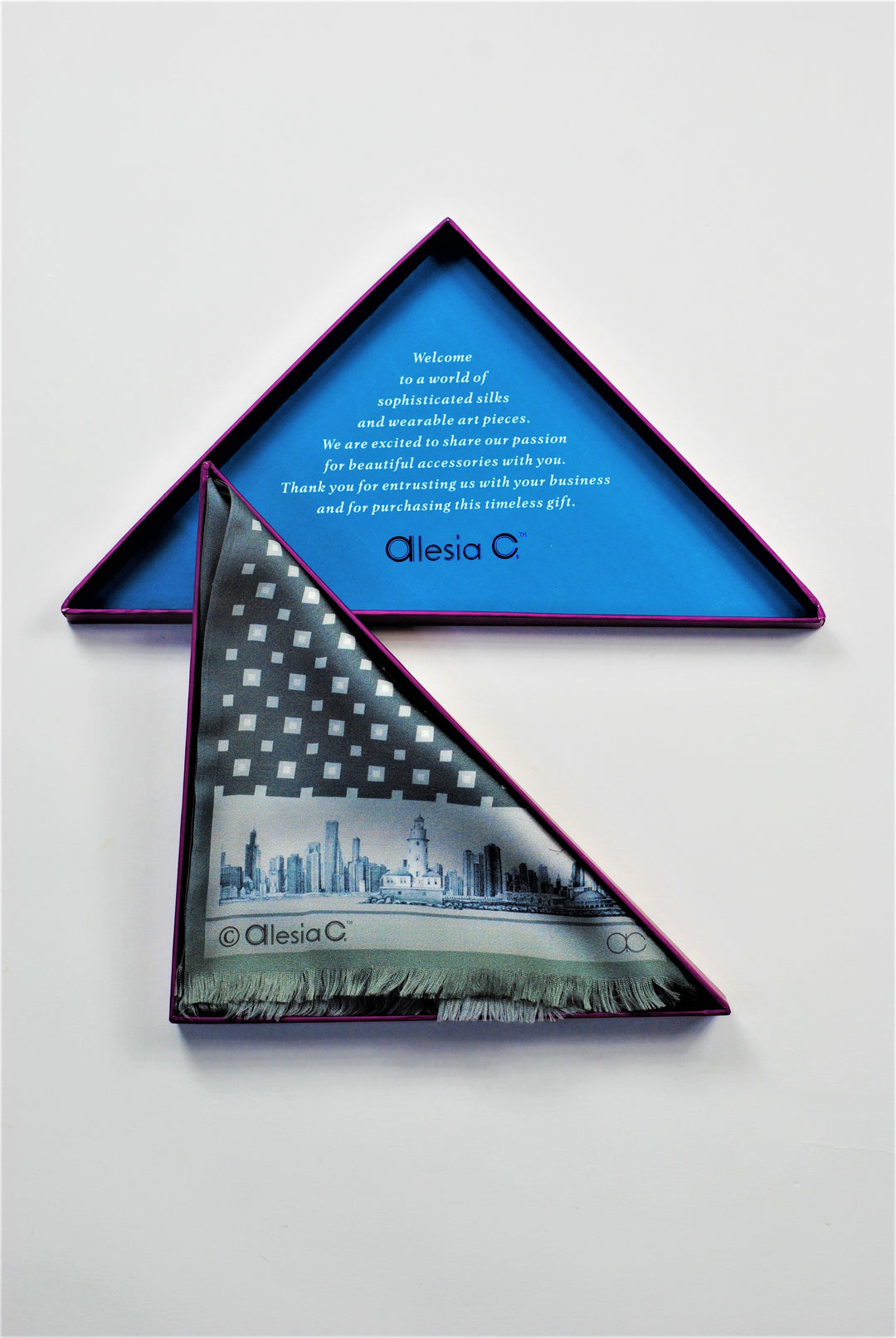 CHICAGO Skyline Art Pure Double Sided Silk Scarf Gray White
