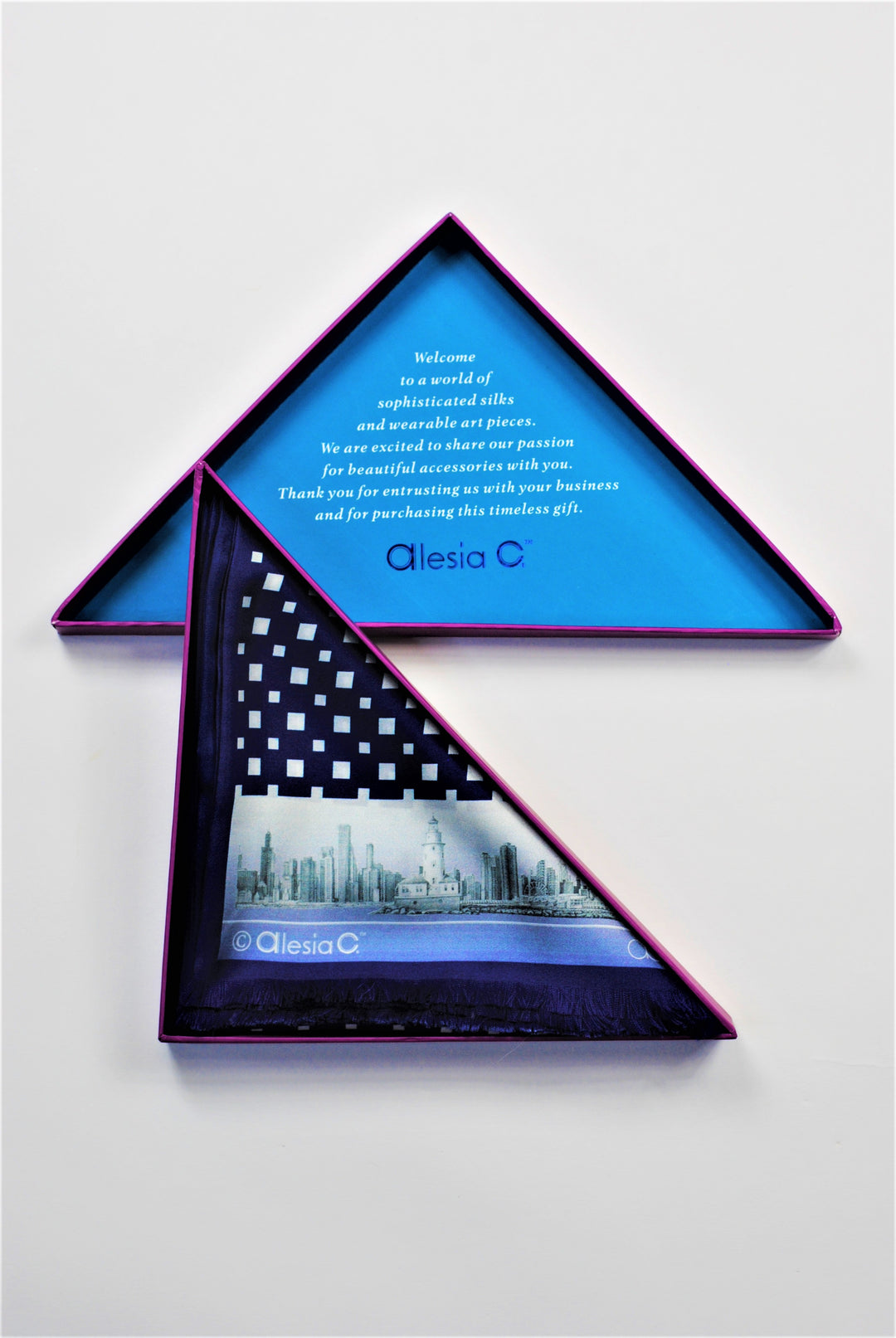 CHICAGO Skyline Art Pure Double Silk Scarf Navy Blue White Long by Alesia Chaika